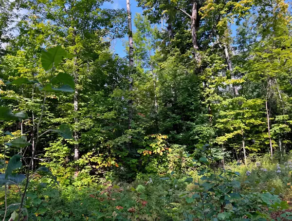 3397 Indian Road, Brutus, MI 49716