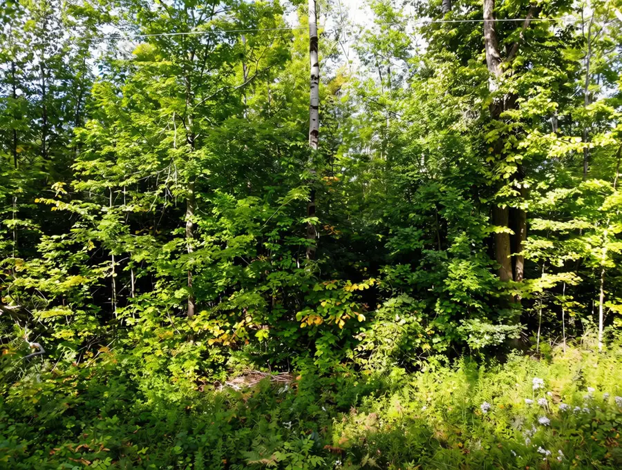 3397 Indian Road, Brutus, MI 49716 - #3