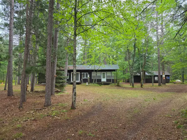 2230 Irene Avenue, Grayling, MI 49738