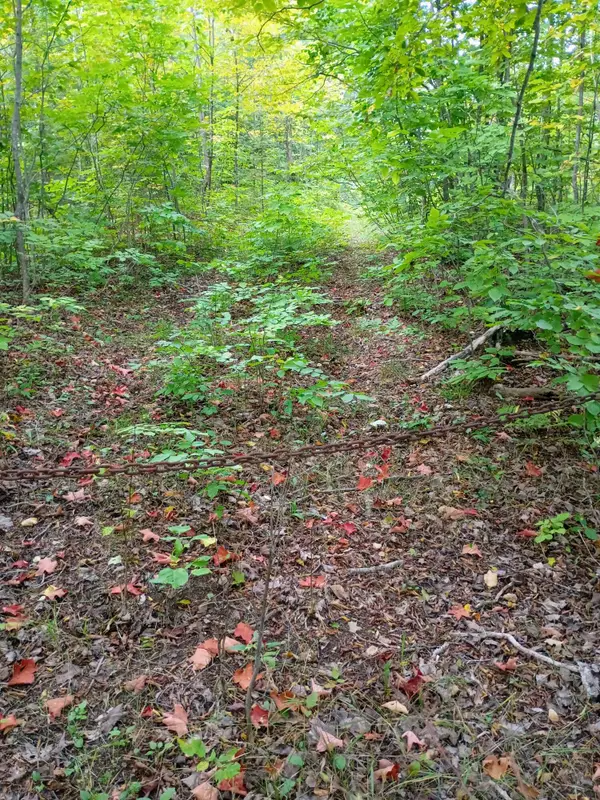 V/L 116AC Clinton Creek Road, Presque Isle, MI 49777