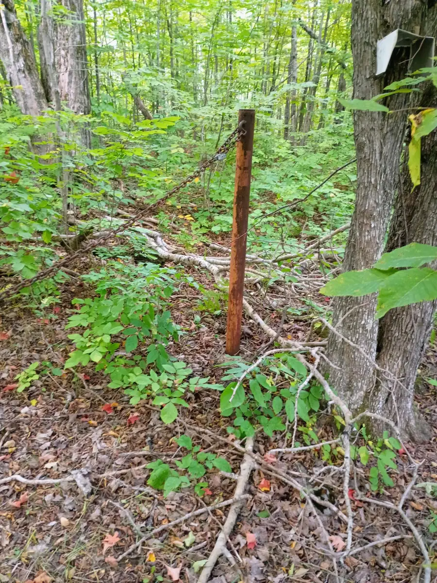 V/L 116AC Clinton Creek Road, Presque Isle, MI 49777 - #3