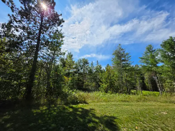 V/L 5 AC Robin Hood Drive, Fairview, MI 48621
