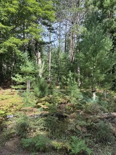 V/L 2.5AC S Roscommon Road, Prudenville, MI 48651