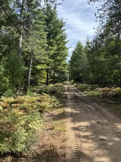 V/L 2.5AC S Roscommon Road, Prudenville, MI 48651 - #3