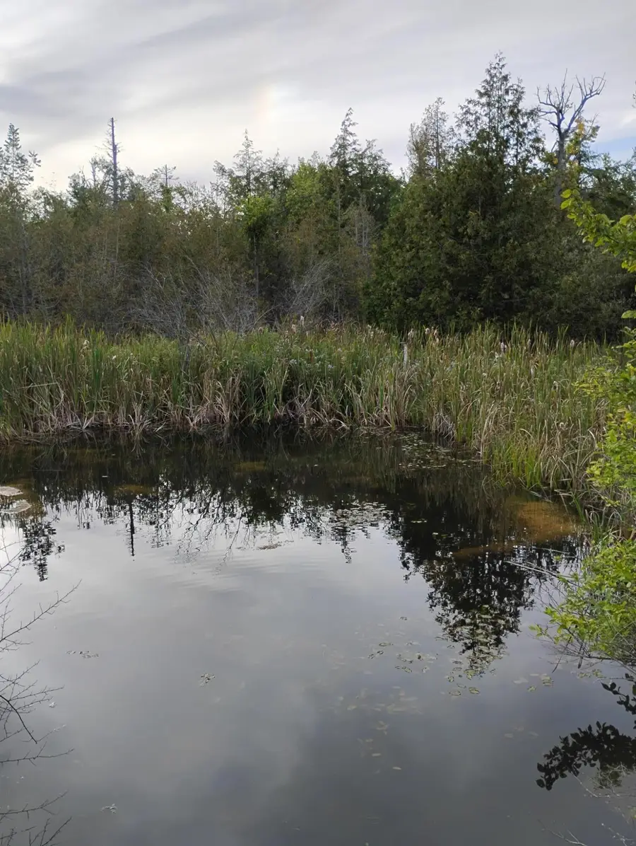 3182 N Old Us Highway 27, Gaylord, MI 49735 - #3