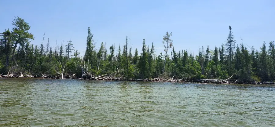 Warren Creek Highway, Presque Isle, MI 49777 - #2