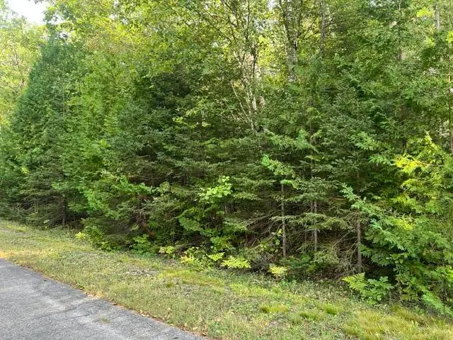 Lot 298 Sunaqua Drive, Presque Isle, MI 49777 - #1