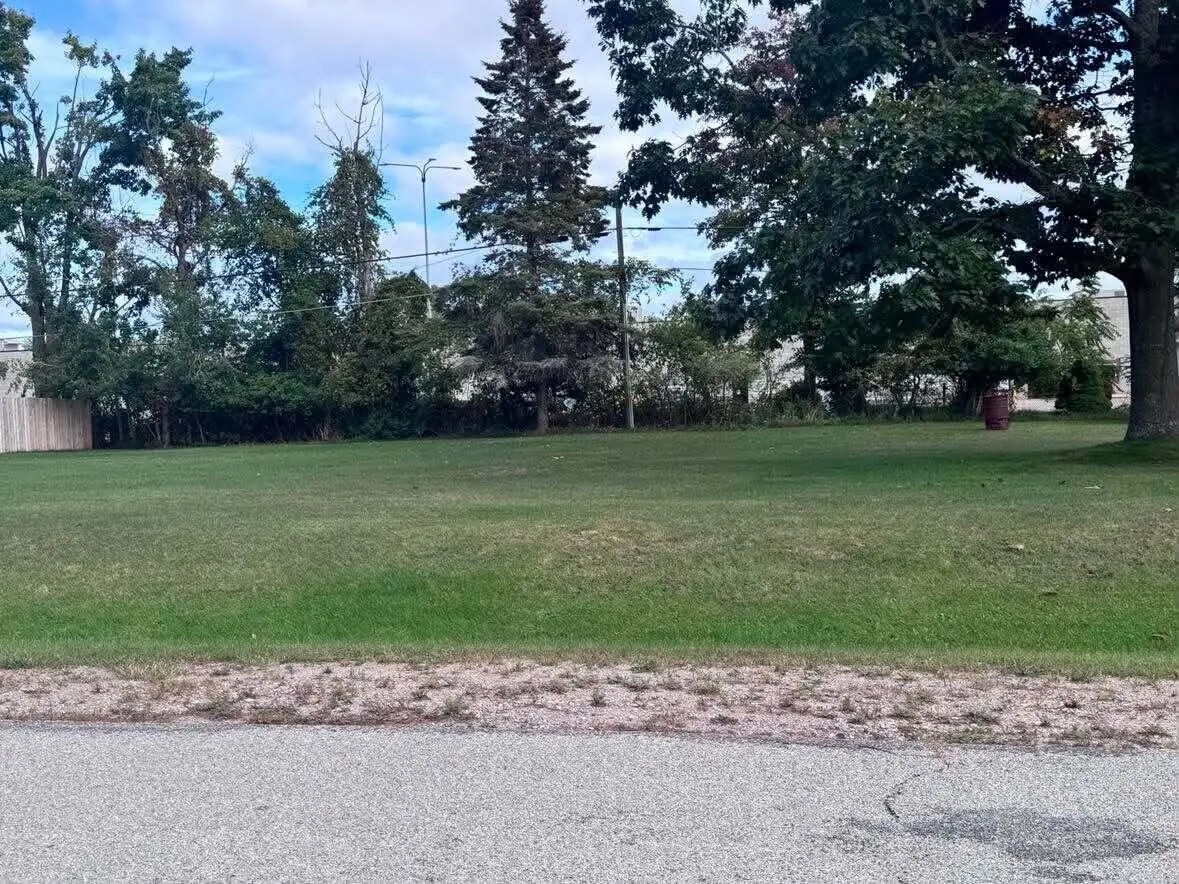 V/L Anthony Street, Alpena, MI 49707 - #1