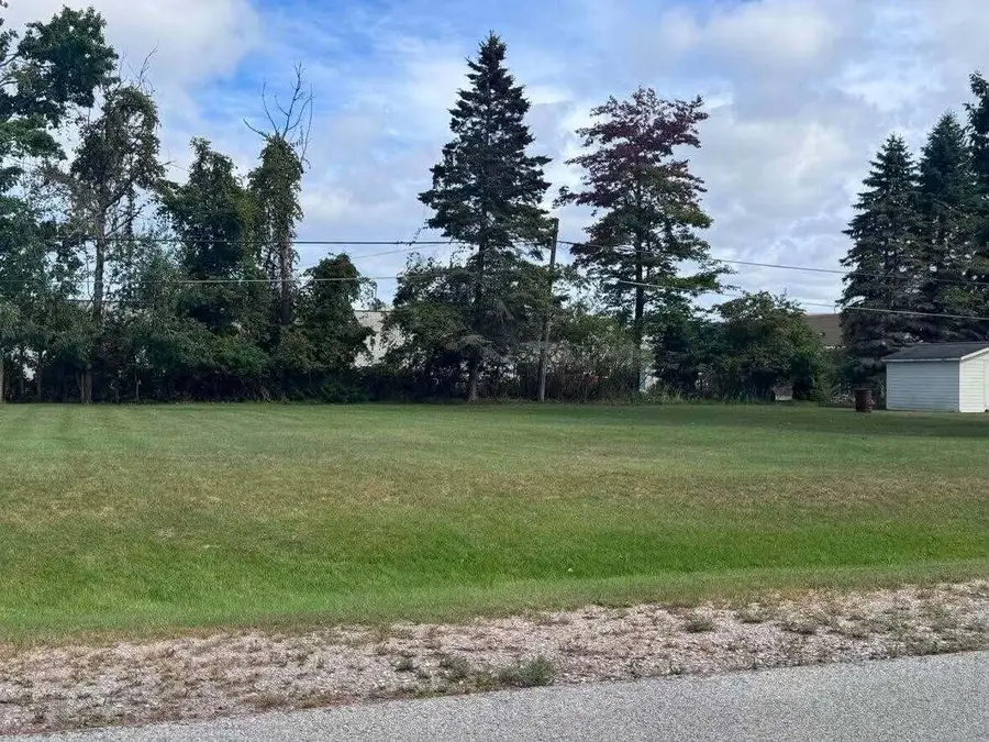 V/L Anthony Street, Alpena, MI 49707 - #3