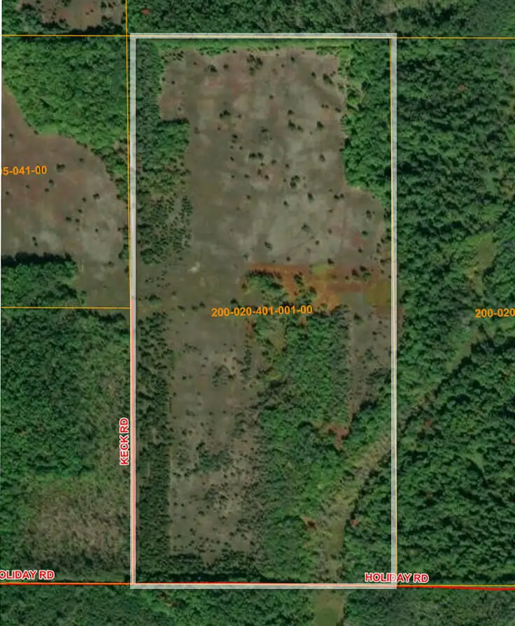 V/L 80AC Holiday Road, Wolverine, MI 49799 - #1