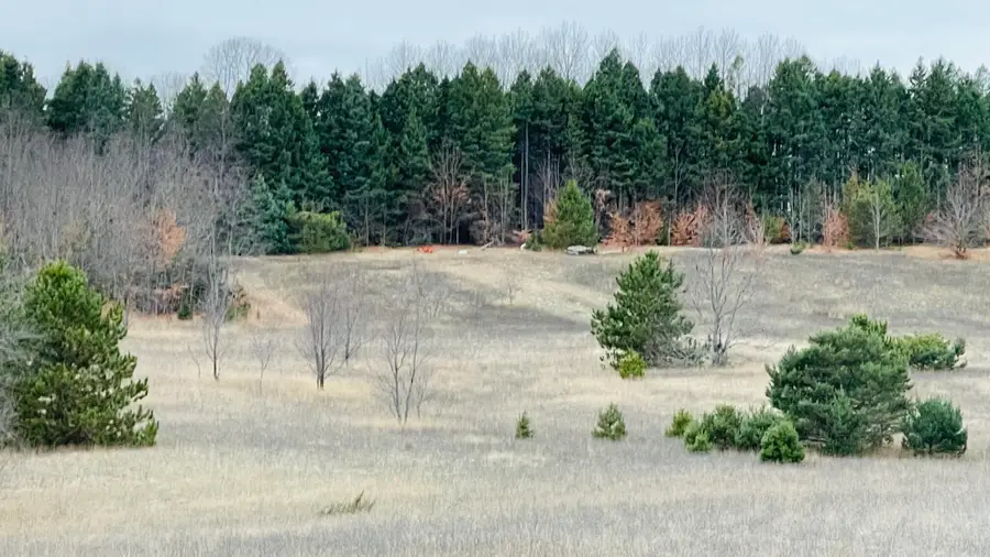 V/L 80AC Holiday Road, Wolverine, MI 49799 - #2