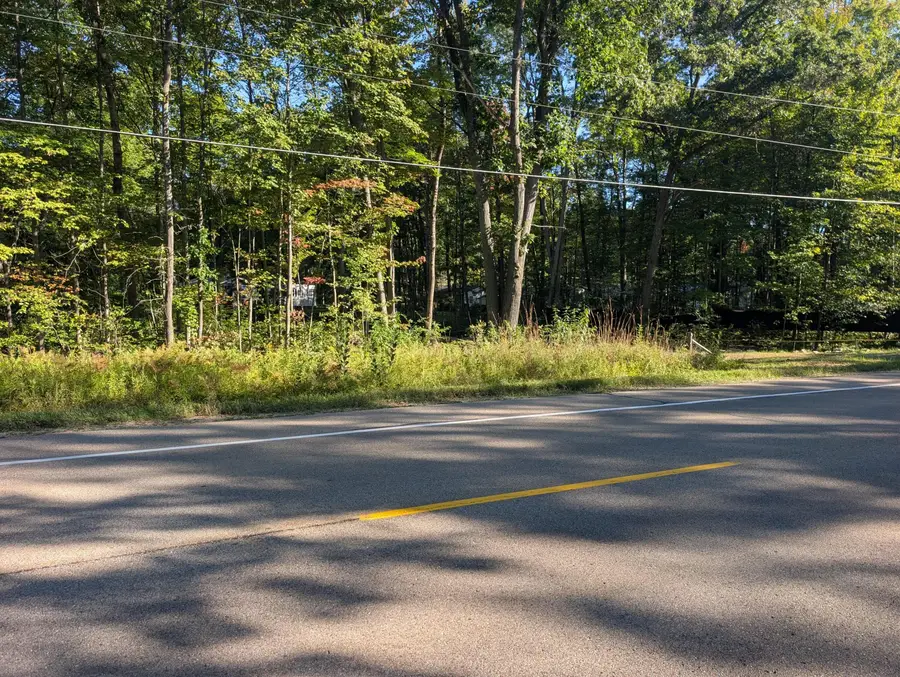 Lot 65 W Marl Lake Road, Roscommon, MI 48653 - #3