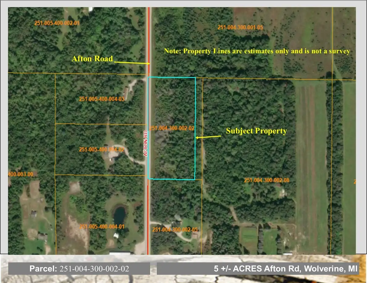VL Afton Road, Wolverine, MI 49799 - #1