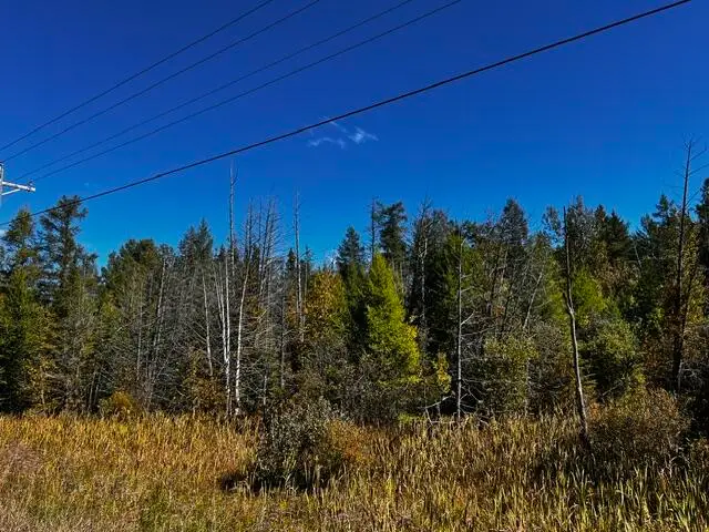 VL Afton Road, Wolverine, MI 49799 - #3