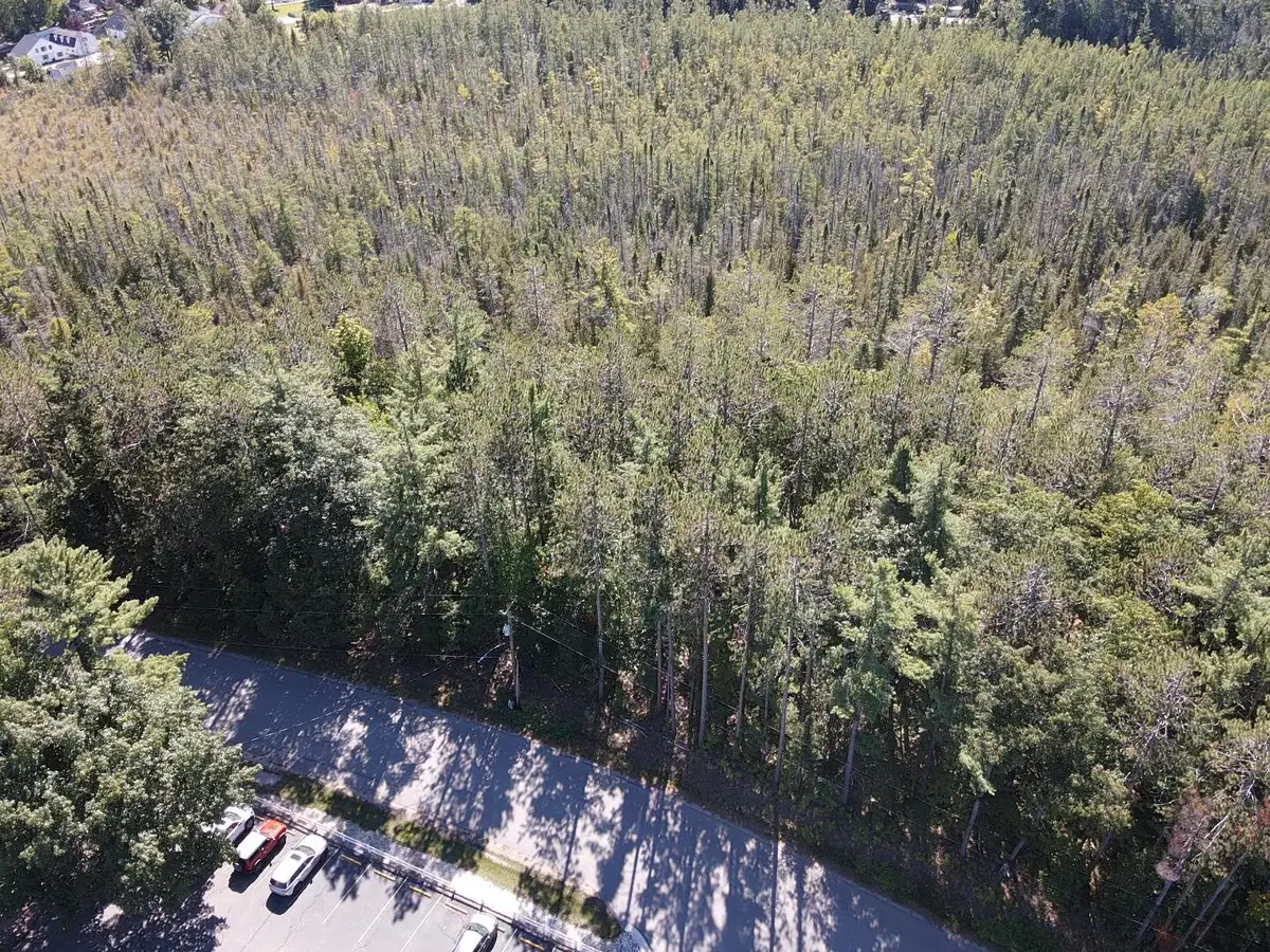 V/L Chippewa Beach Road, Indian River, MI 49749 - #1