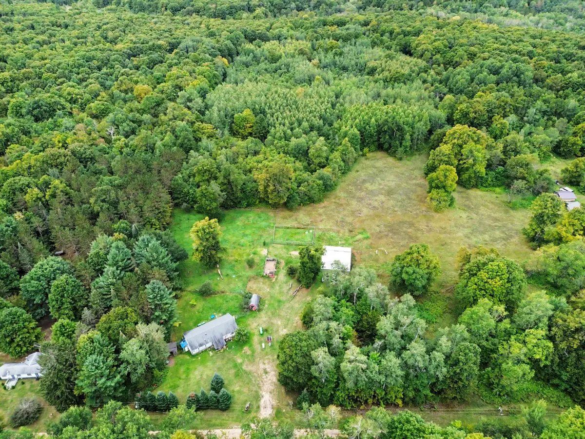 9843 Buck Lane, Mancelona, MI 49659 - #1