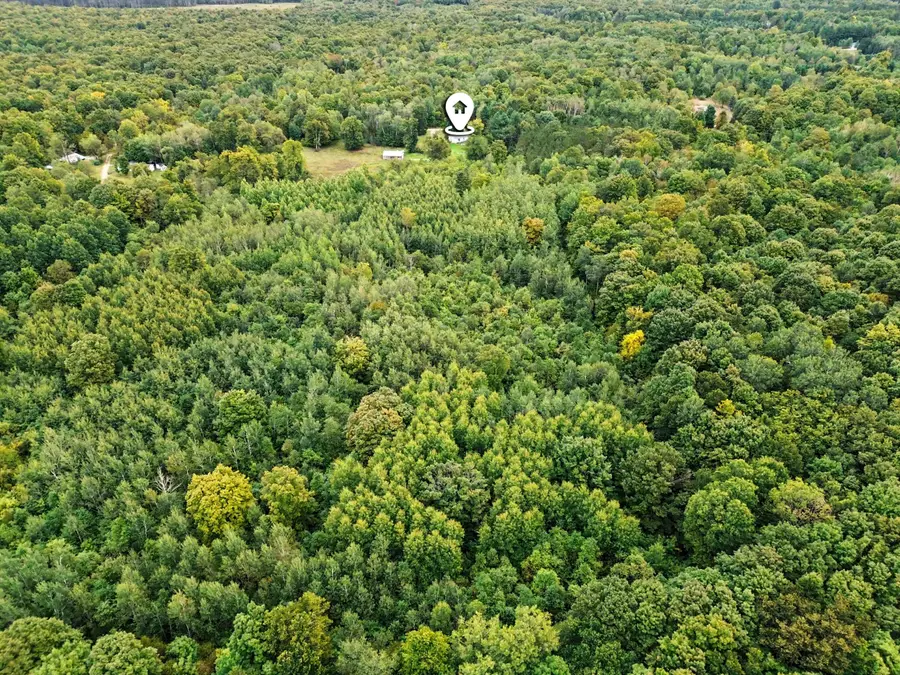 9843 Buck Lane, Mancelona, MI 49659 - #3