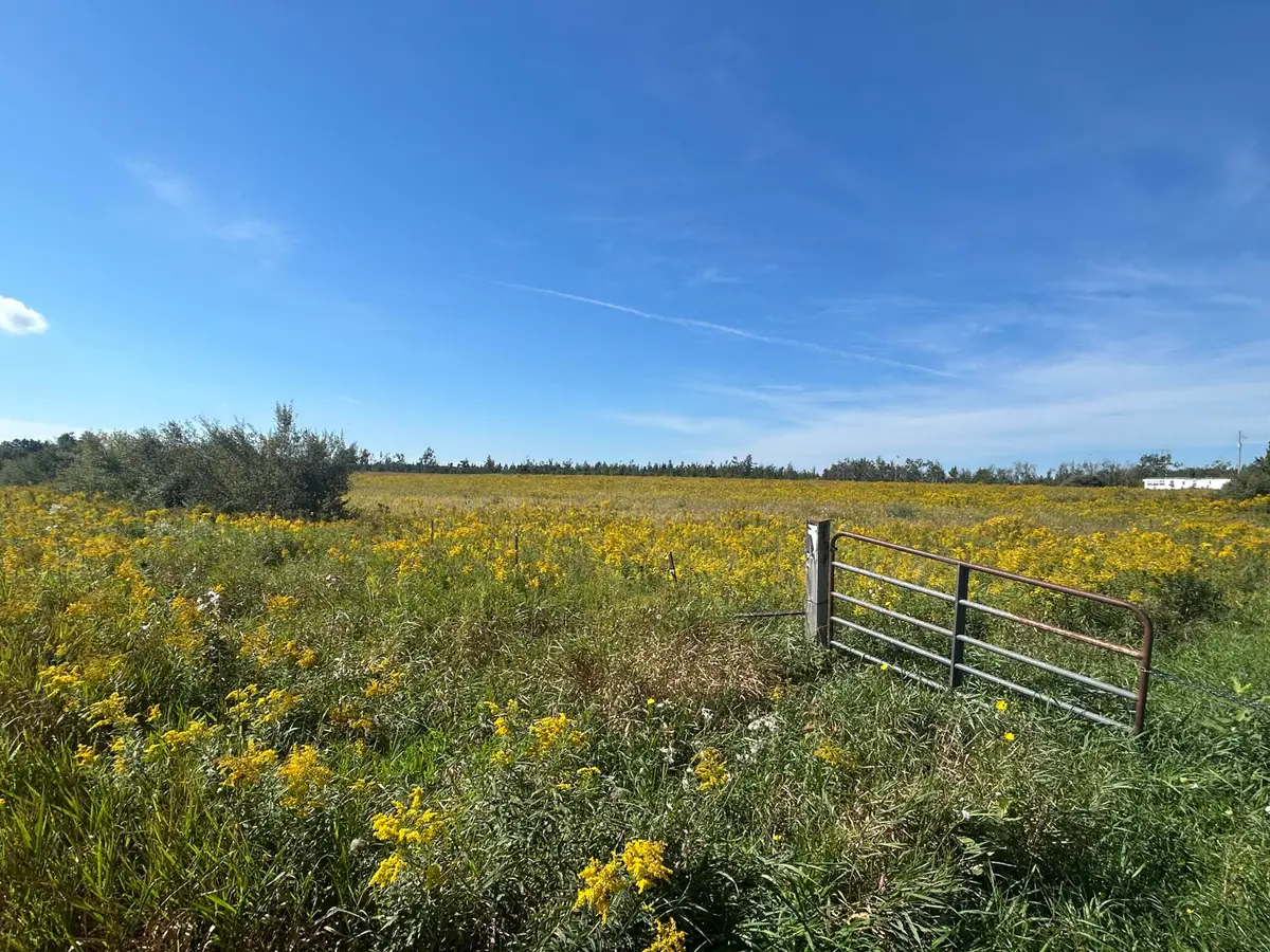 V/L Coville Road, Lincoln, MI 48742 - #1