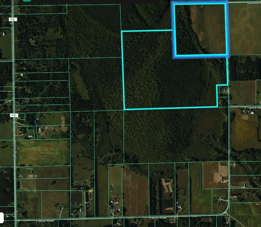 V/L Coville Road, Lincoln, MI 48742 - #3