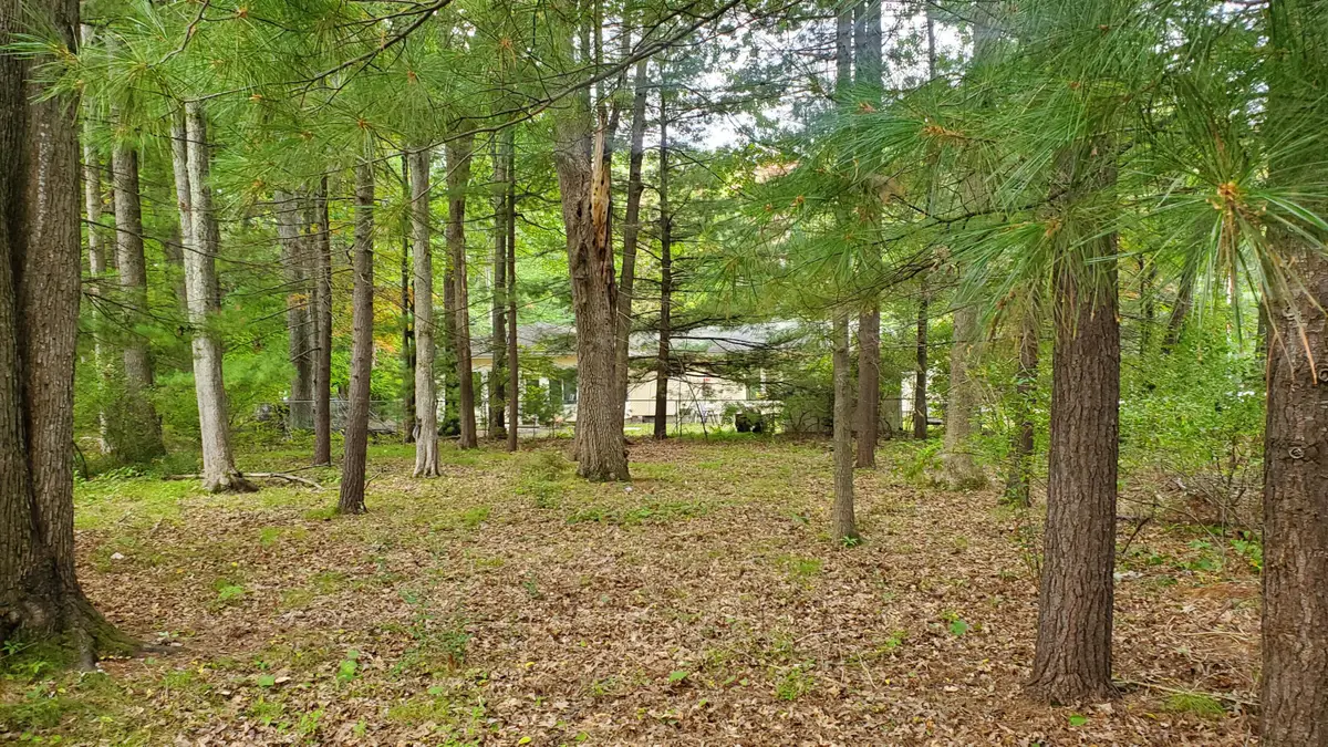 V/L Oakwood Avenue, Prudenville, MI 48651 - #1
