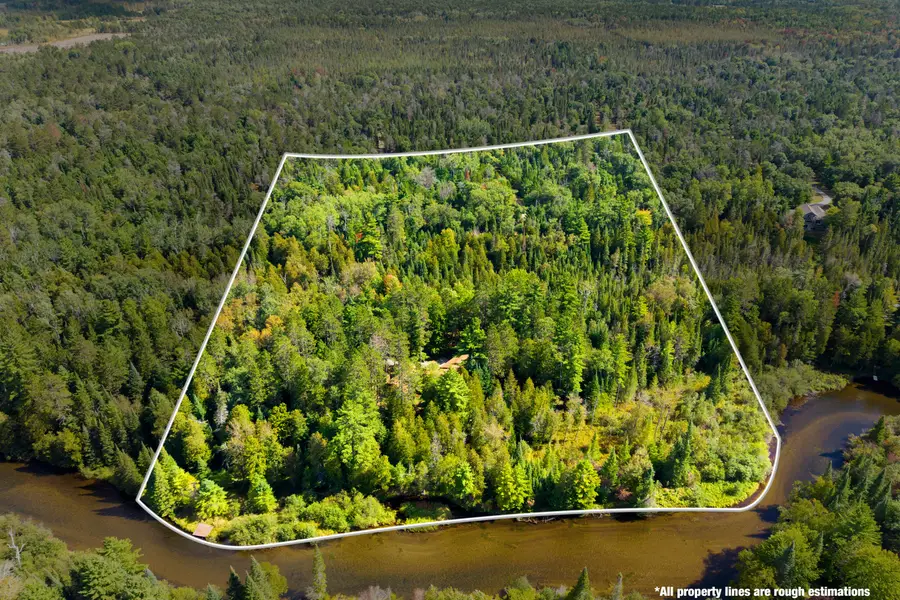 173 N Lincoln Lodge Road, Grayling, MI 49738 - #2