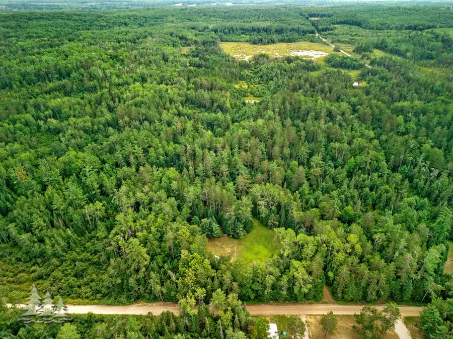 5403 Griffin Road, Lewiston, MI 49756 - #3