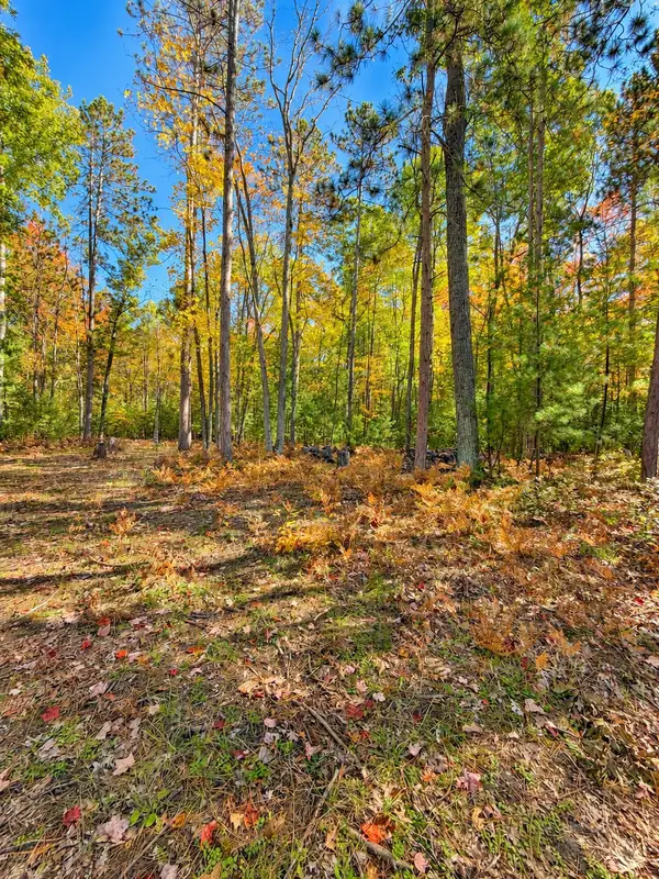 1350 N St Helen Road, St. Helen, MI 48656