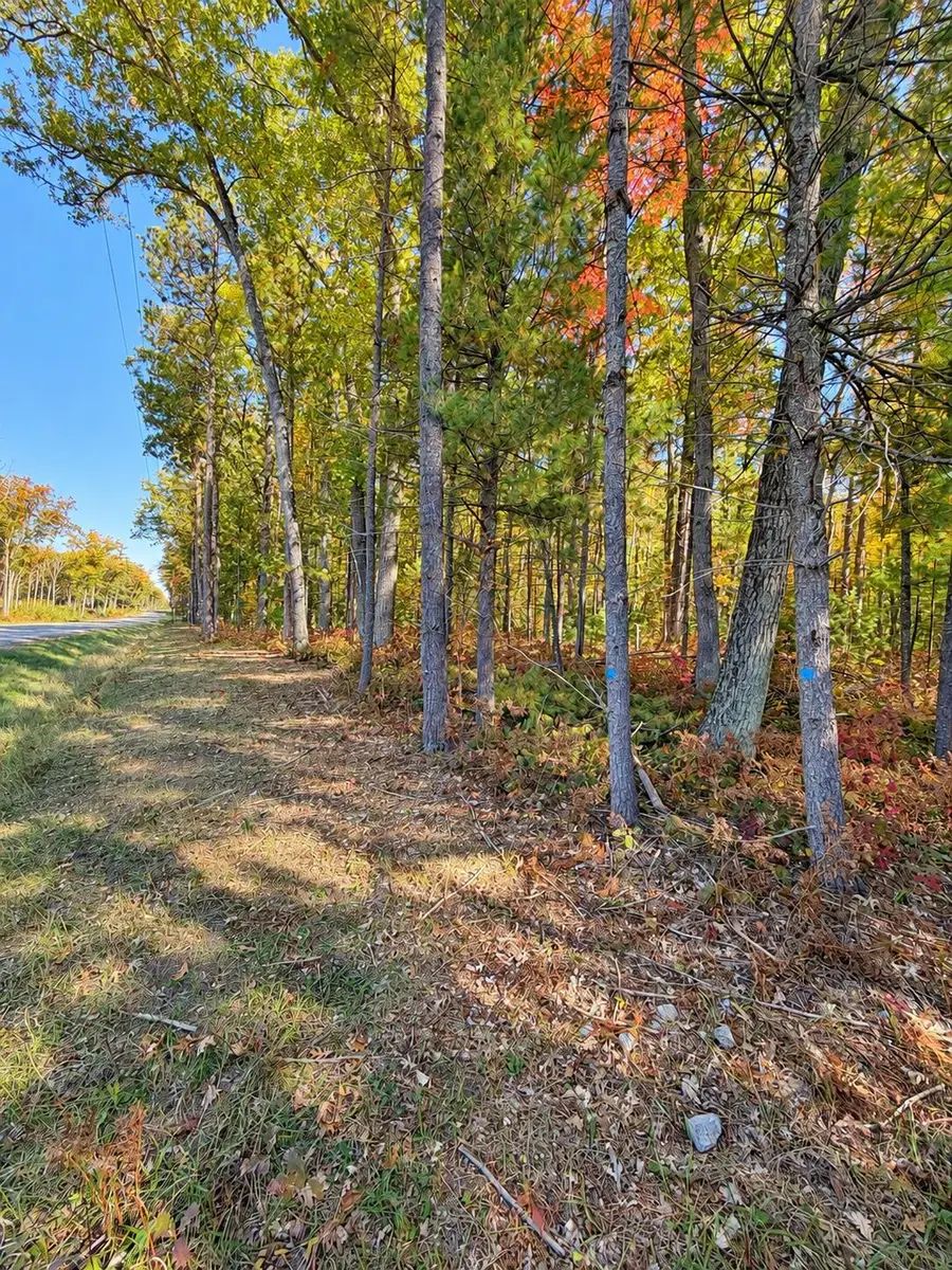 1350 N St Helen Road, Saint Helen, MI 48656 - #2