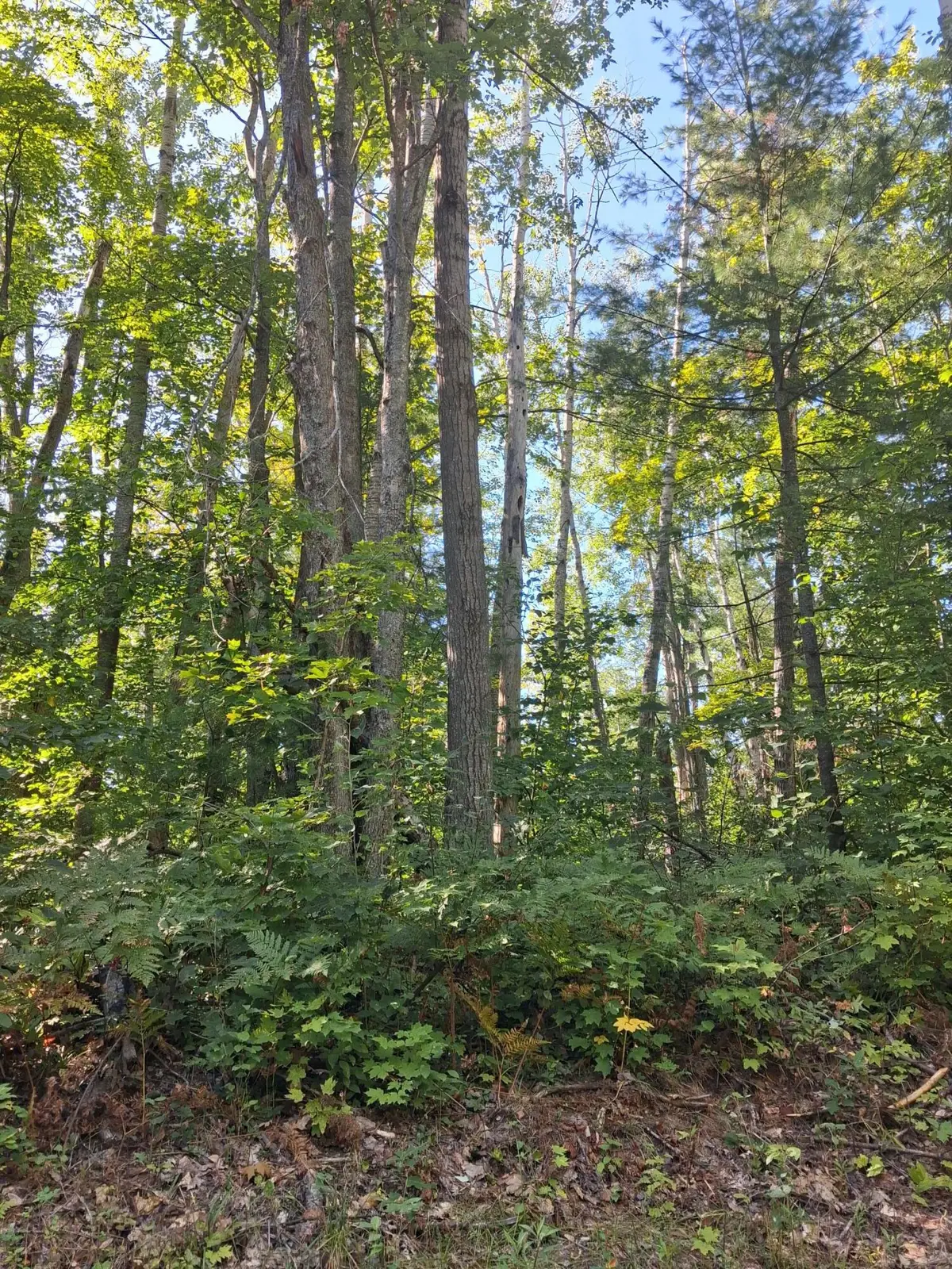 V/L .52AC Cree Trail, Gaylord, MI 49735 - #1