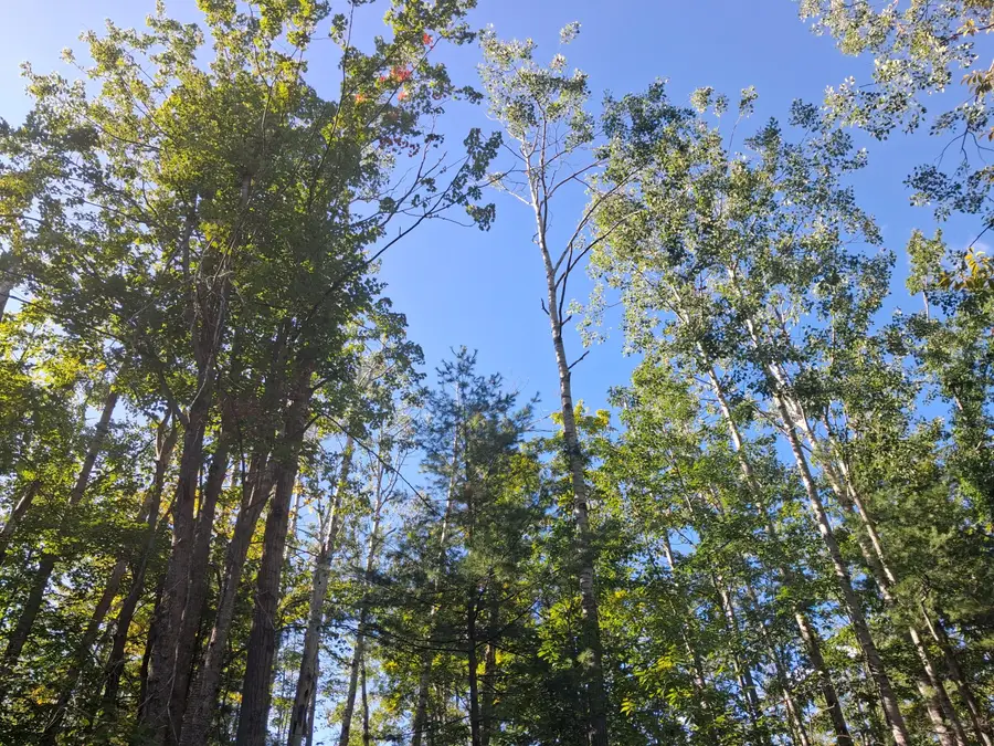 V/L .52AC Cree Trail, Gaylord, MI 49735 - #3