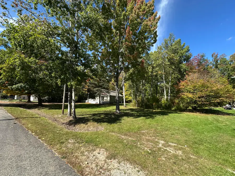 124 Mary Road, Houghton Lake, MI 48629 - #3