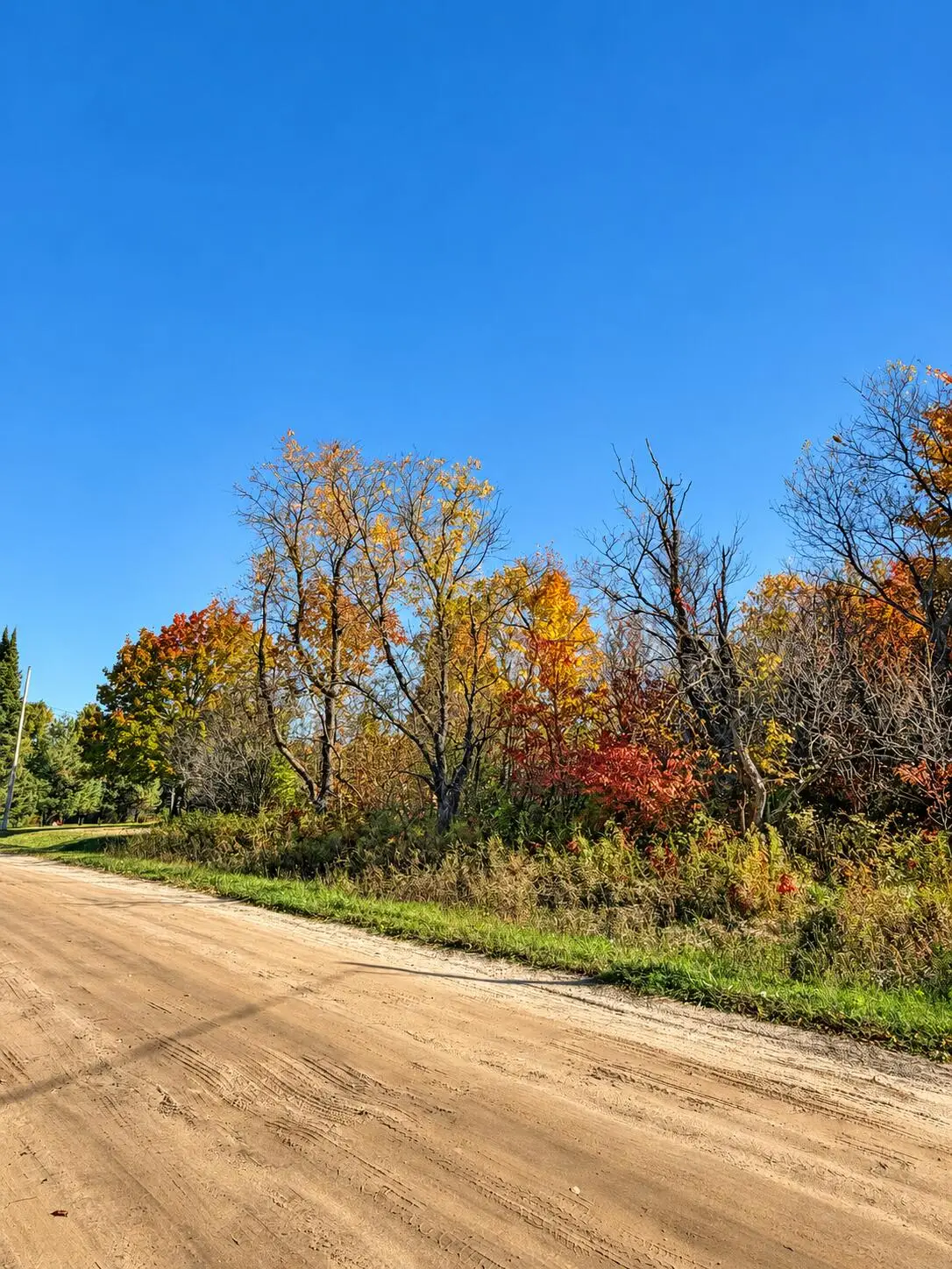 V/L .69AC E West Branch Road, Saint Helen, MI 48656 - #1