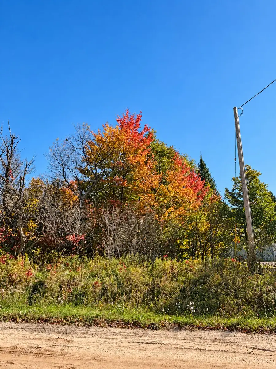 V/L .69AC E West Branch Road, Saint Helen, MI 48656 - #2