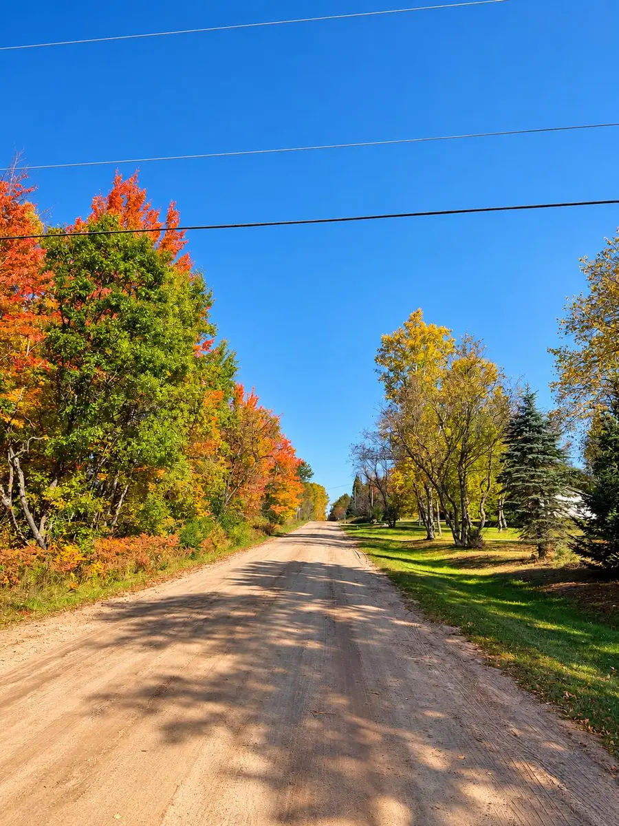 V/L .69AC E West Branch Road, Saint Helen, MI 48656 - #3