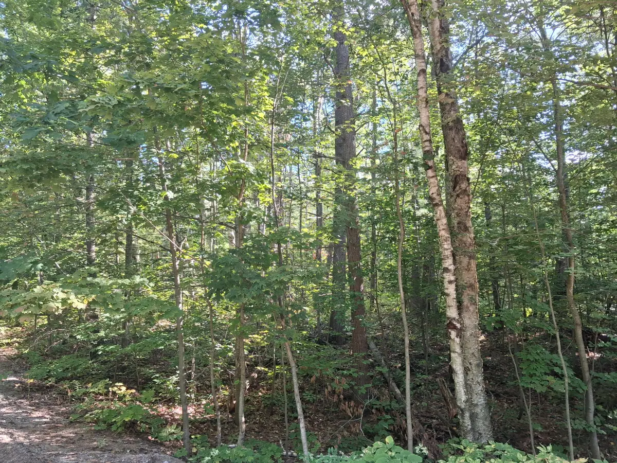 V/L Mackinaw Trail, Gaylord, MI 49735 - #1