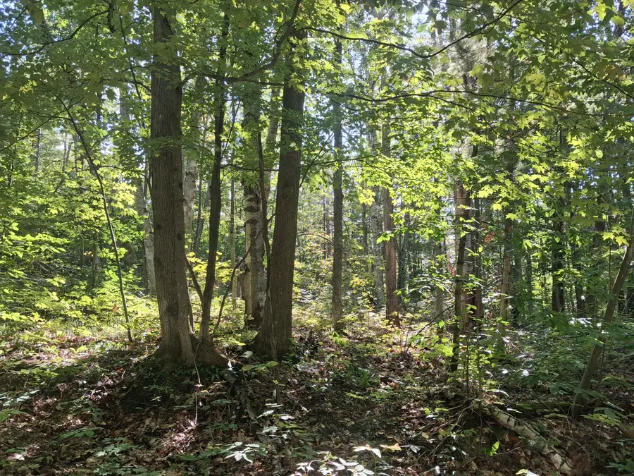 V/L Mackinaw Trail, Gaylord, MI 49735 - #3