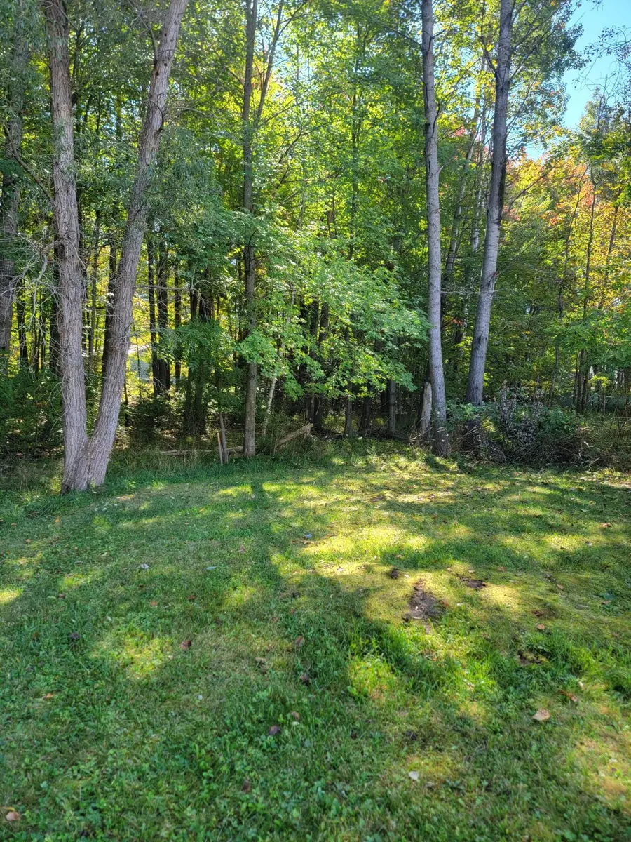 9457 Ester Drive, Saint Helen, MI 48656 - #3