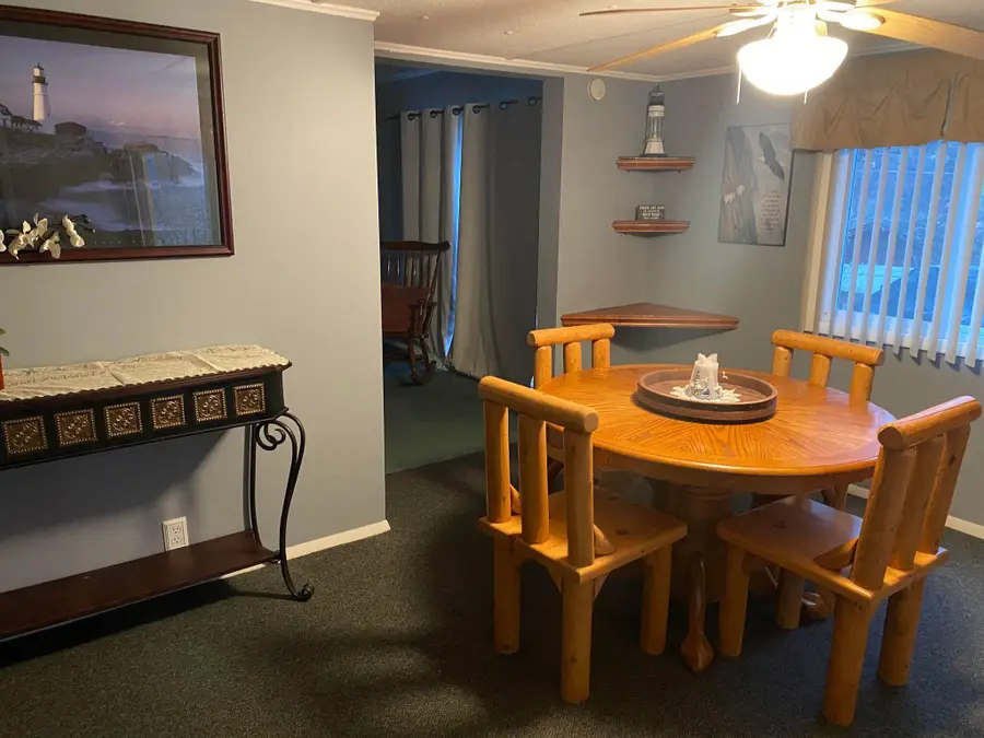 409 Hill Street, Mio, MI 48647 - #3