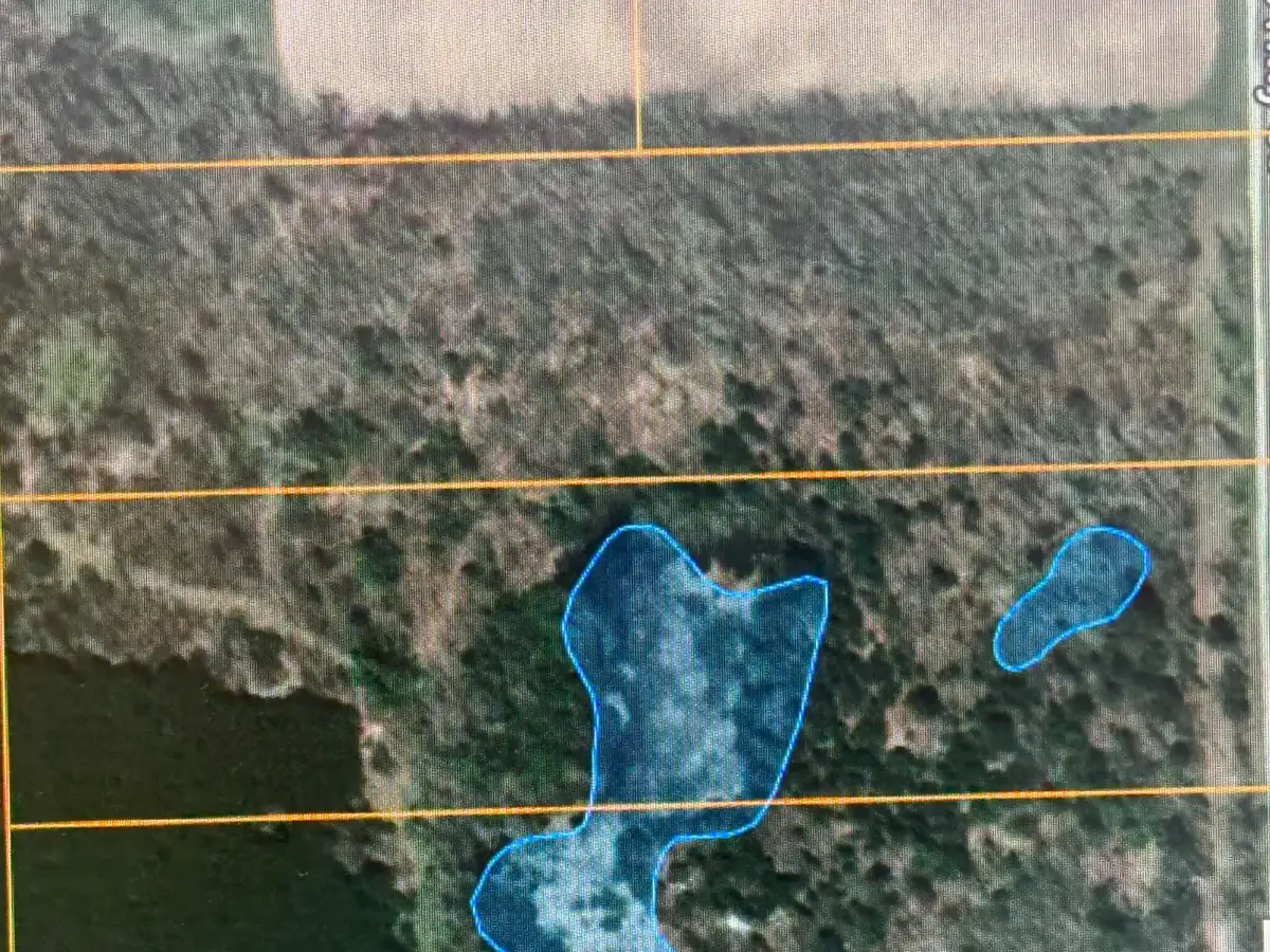 V/L 20AC Weaver Road, Comins, MI 48619 - #1
