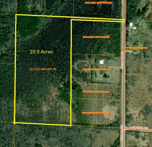 V/L 20.9AC Butler Road, Cheboygan, MI 49721