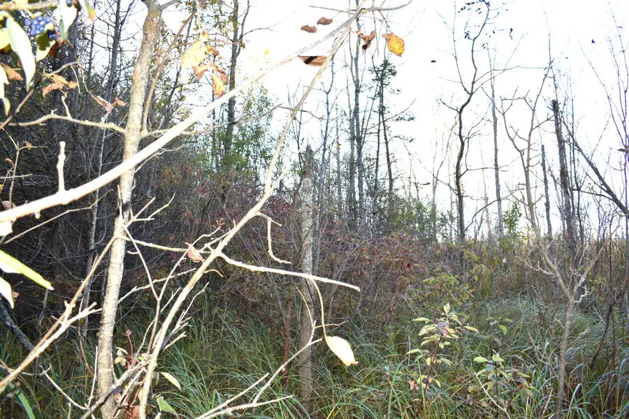 V/L 20.9AC Butler Road, Cheboygan, MI 49721 - #3