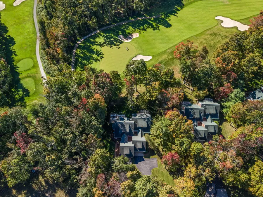 4251 Pinehurst Lane, Harbor Springs, MI 49740 - #2