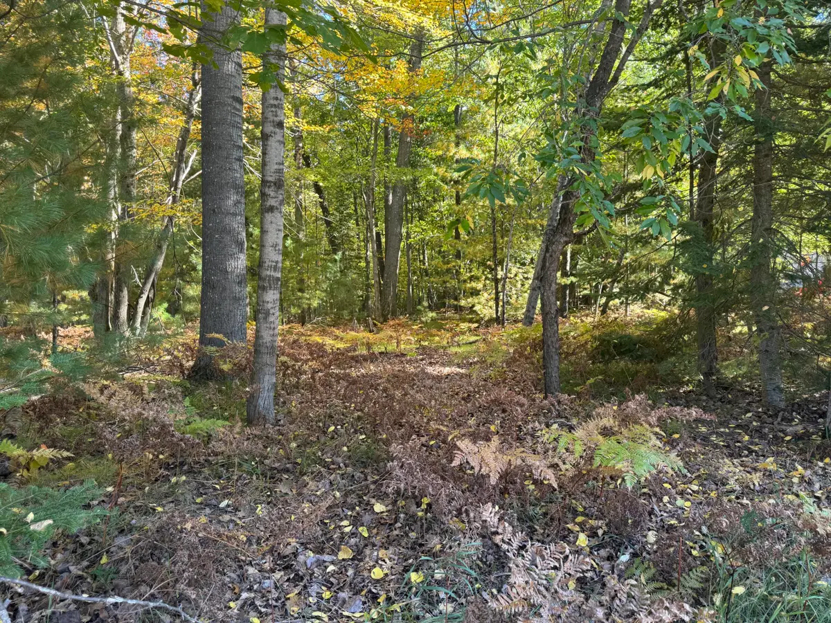 1601 Lake James Drive, Prudenville, MI 48651 - #1