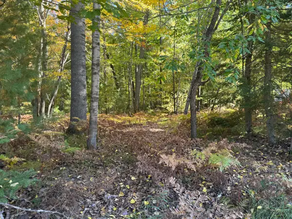 1601 Lake James Drive, Prudenville, MI 48651
