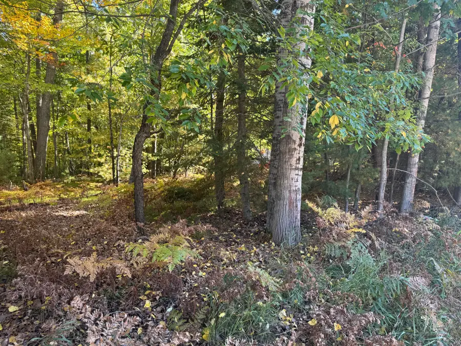 1601 Lake James Drive, Prudenville, MI 48651 - #3