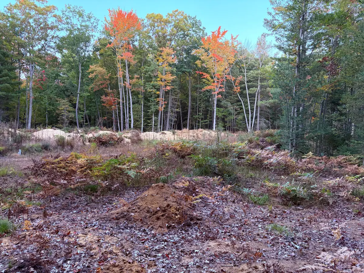 Lot #20 Indian Oaks Trail, Prudenville, MI 48651 - #1