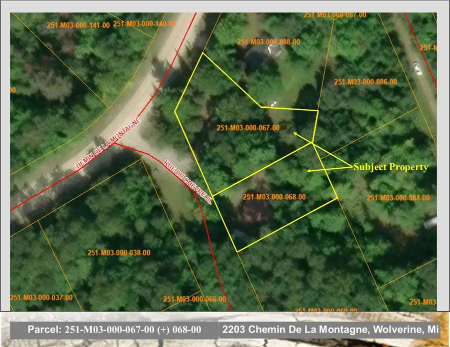 2203 Chemin De Lamontagne, Wolverine, MI 49799 - #2