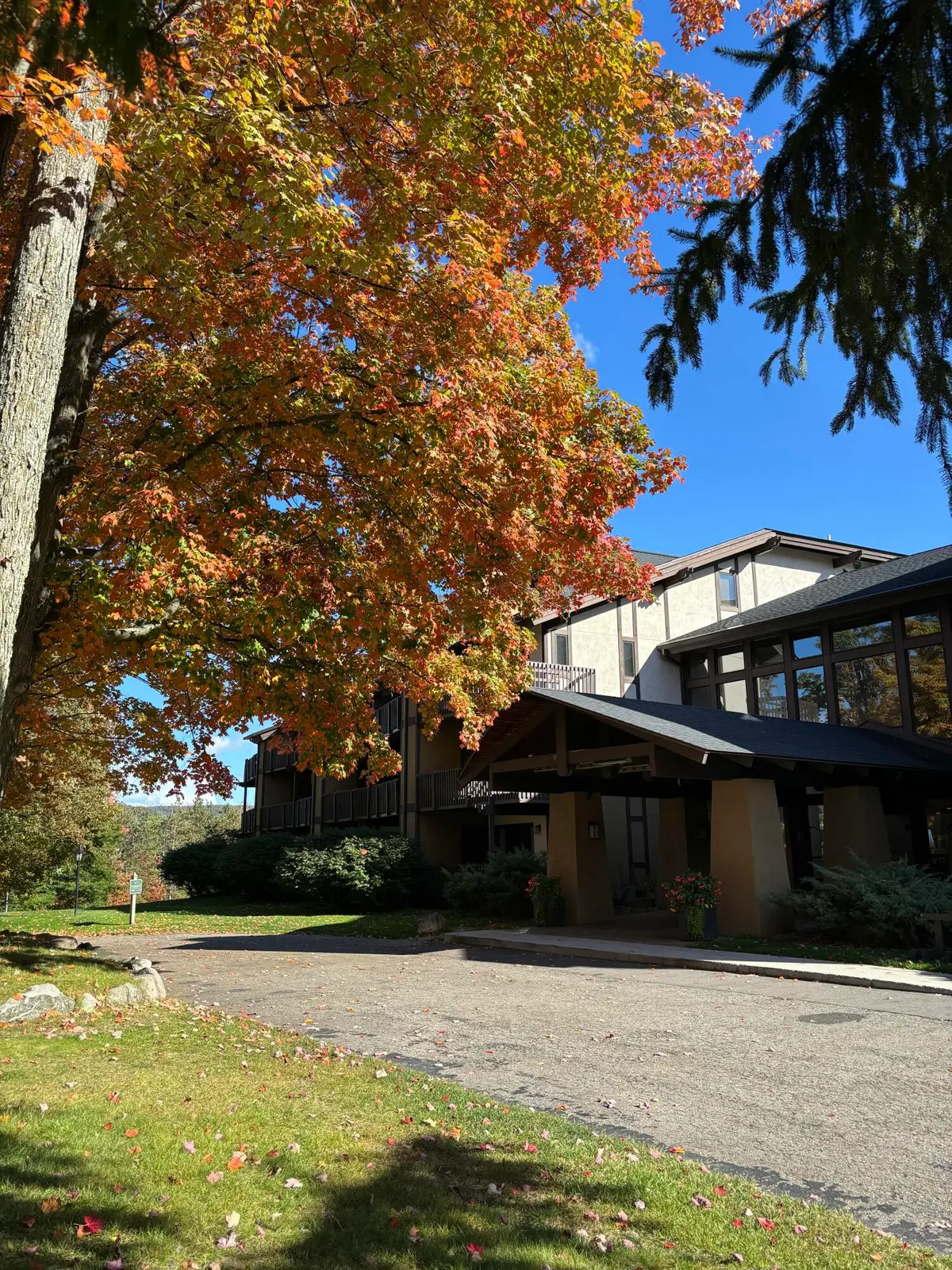 5620 Highlands Drive, Harbor Springs, MI 49740 - #1