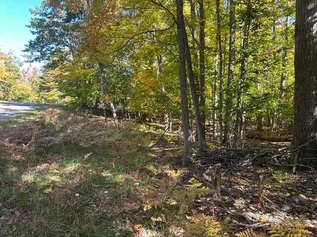 VL 227-229 Woodcock Court, Gaylord, MI 49735 - #2