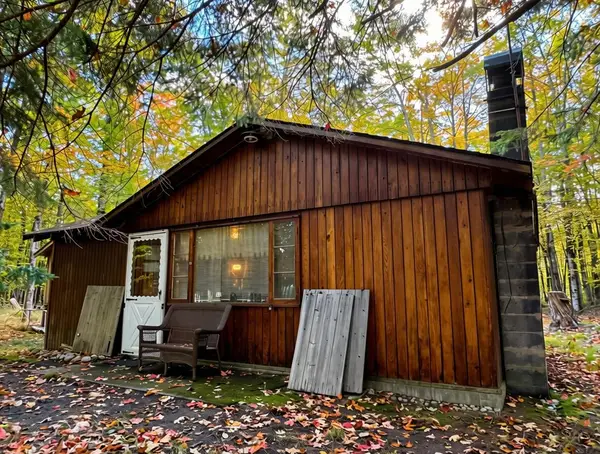 2230 Mann Road, Cheboygan, MI 49721